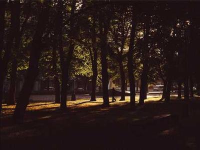 2025年数据分析师必须掌握的十大技能