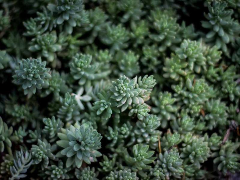 企业数据治理的最佳实践